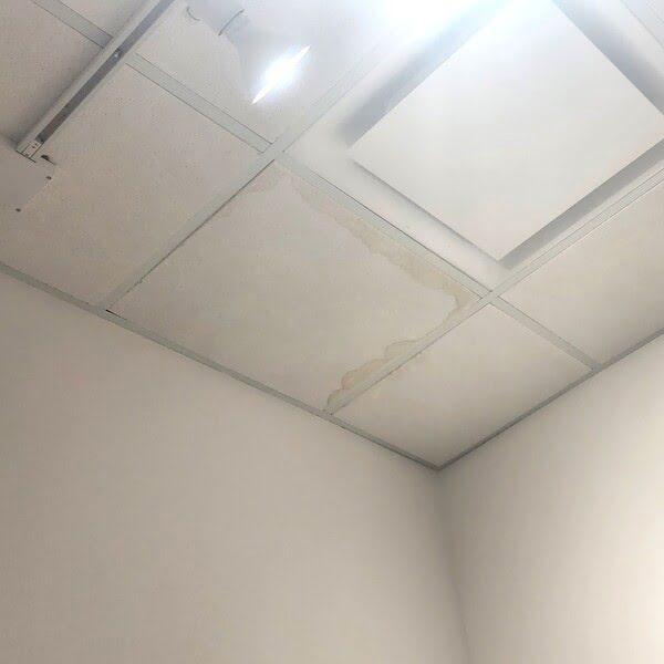 Discolored drop ceiling tiles with visible water stains near office lighting, showing signs of moisture damage and potential leaks