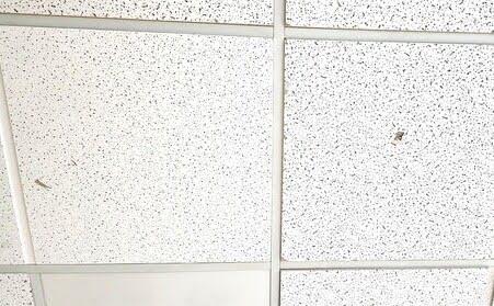 Close-up of cracked and broken ceiling panels in a suspended drop ceiling system, showing visible damage and the need for ceiling tile repair or replacement