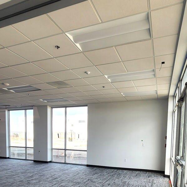 Completed suspended ceiling grid in a modern office space