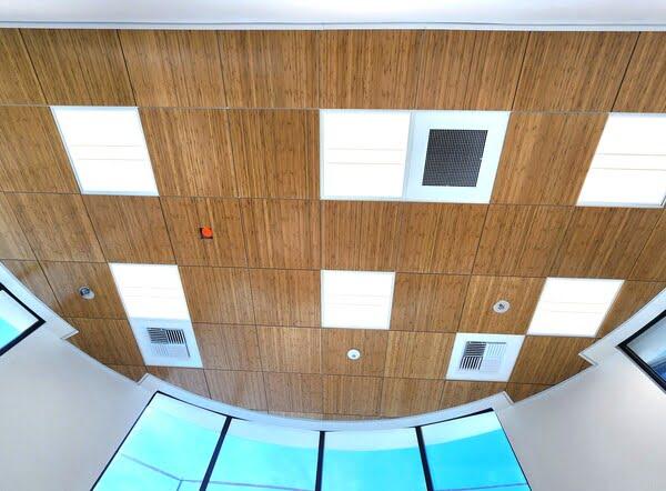 Wood-finish ceiling panels with integrated lights and vents in a curved lobby