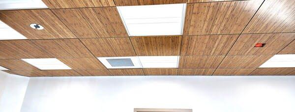 Modern suspended ceiling with wood-look acoustic panels, recessed lighting, and integrated ventilation in a clean commercial space